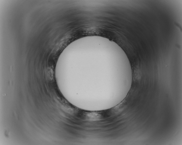 X0000103430183200809261739