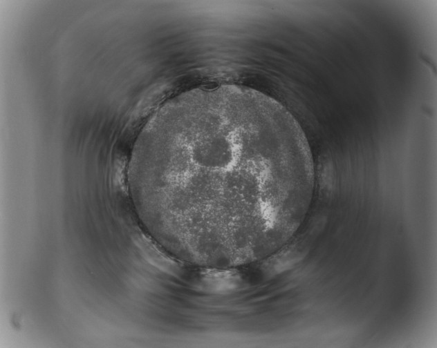 X0000103430185200809261739