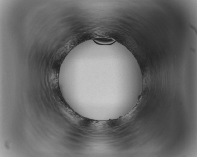 X0000103430186200809261739