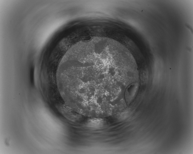 X0000103430189200809261739