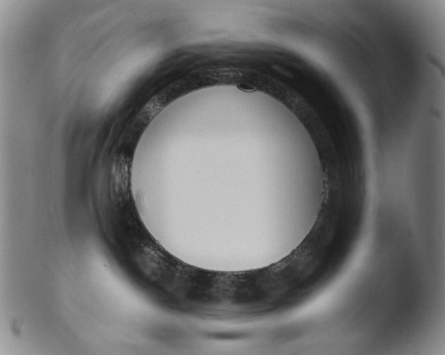 X0000103430190200809261739