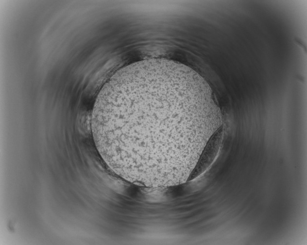 X0000103430191200809261739