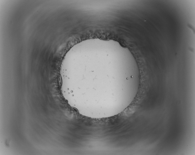 X0000103430192200809261739