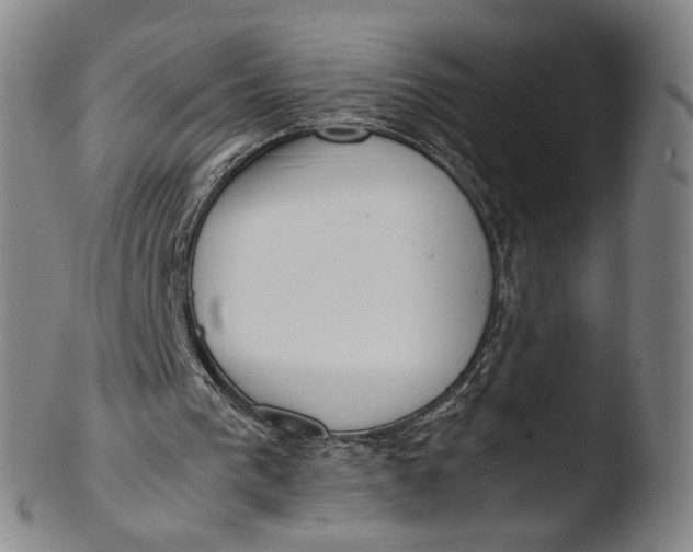 X0000103430193200809261739