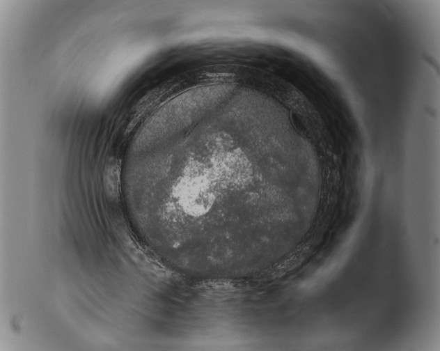 X0000103430194200809261739