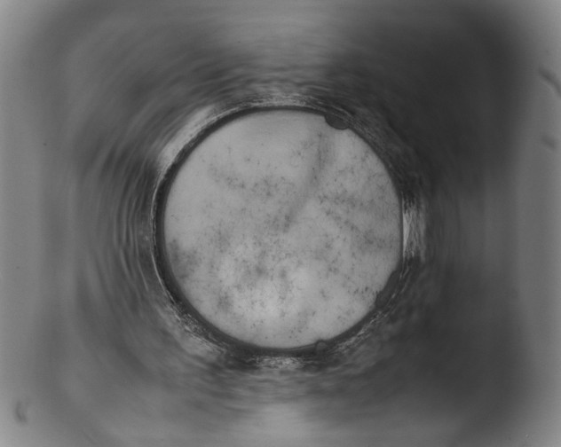 X0000103430195200809261739