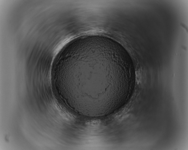 X0000103430196200809261739