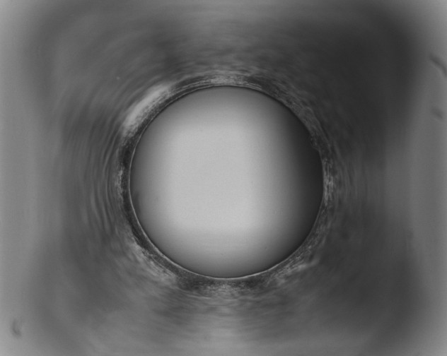 X0000103430197200809261739