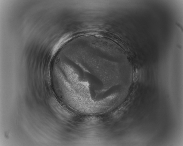 X0000103430198200809261739