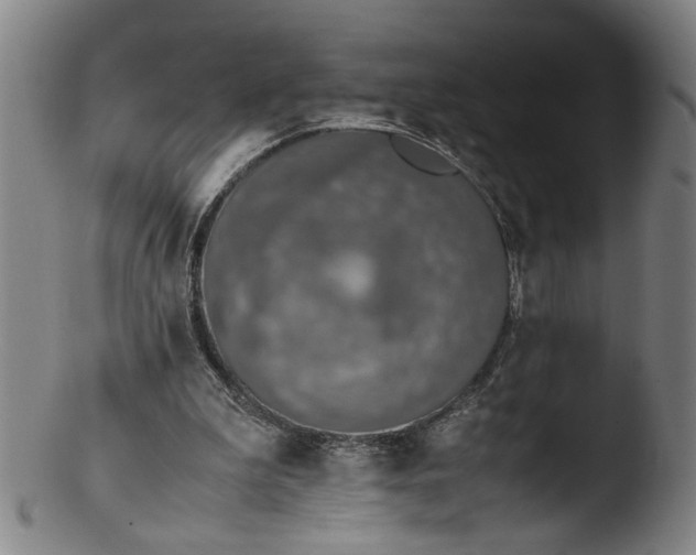 X0000103430199200809261739