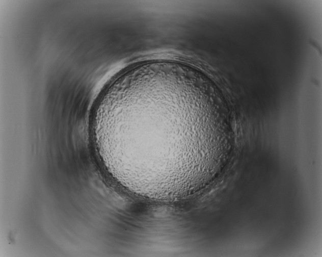 X0000103430200200809261739