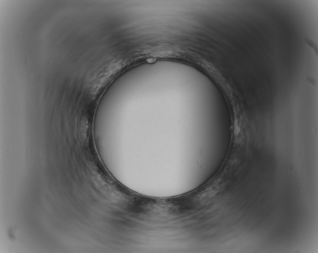 X0000103430201200809261739