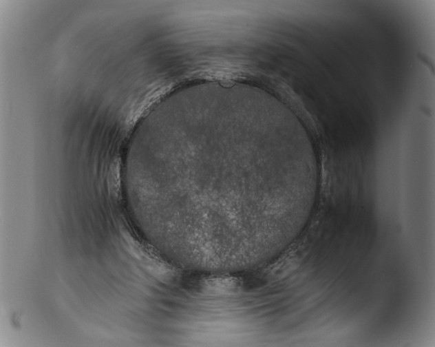 X0000103430202200809261739