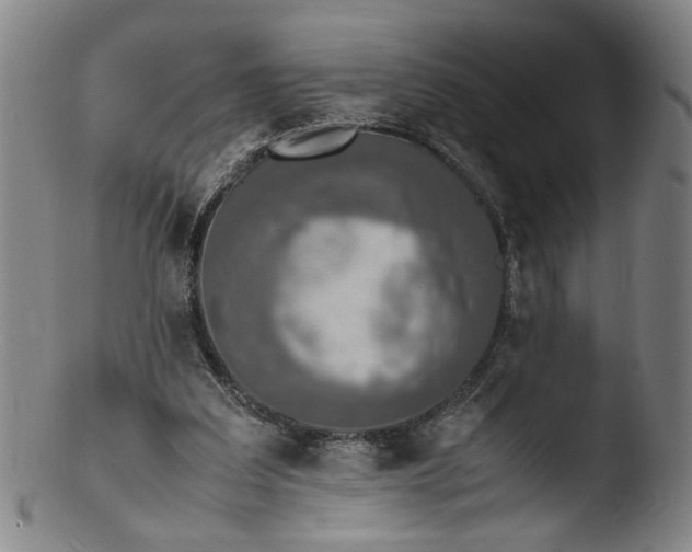 X0000103430203200809261739