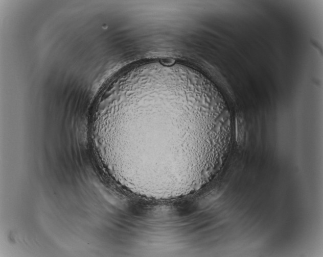 X0000103430204200809261739