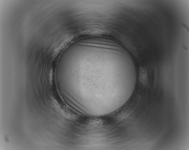 X0000103430206200809261739