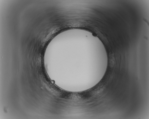 X0000103430207200809261739