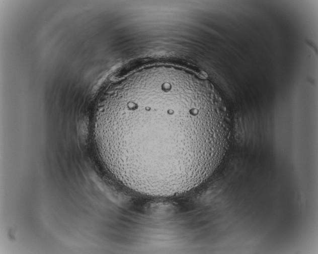 X0000103430208200809261739