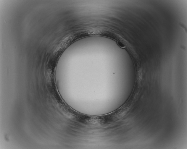 X0000103430209200809261739