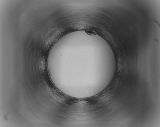 X0000103430210200809261739