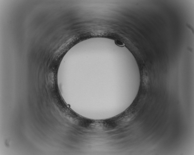 X0000103430211200809261739