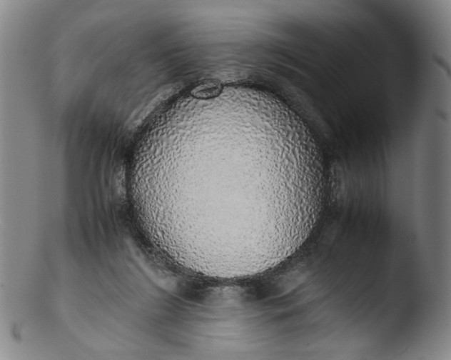 X0000103430212200809261738