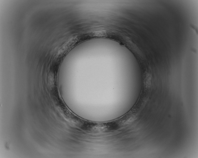 X0000103430213200809261738