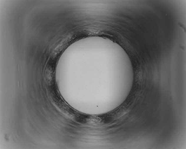 X0000103430215200809261738