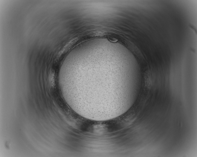 X0000103430216200809261738