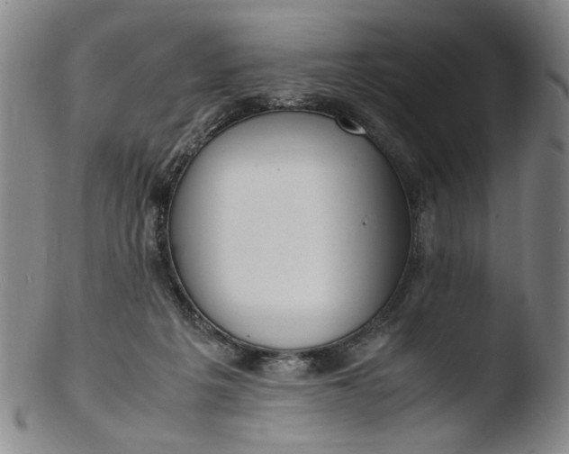 X0000103430217200809261738