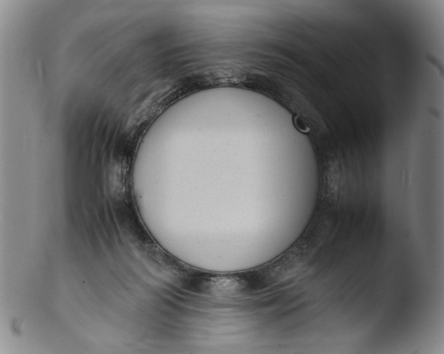 X0000103430218200809261738