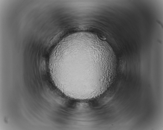 X0000103430220200809261738