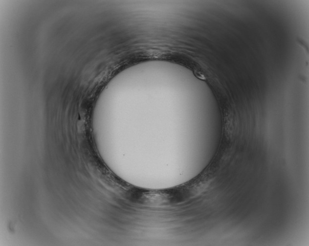 X0000103430221200809261738