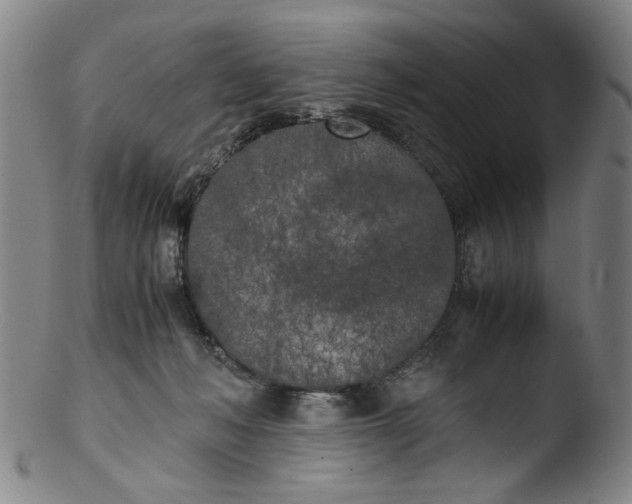 X0000103430222200809261738