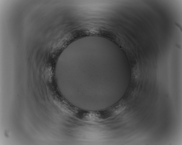 X0000103430223200809261738