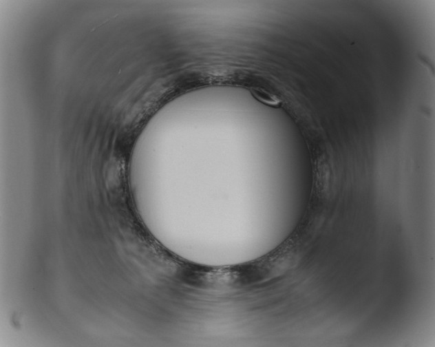 X0000103430225200809261738