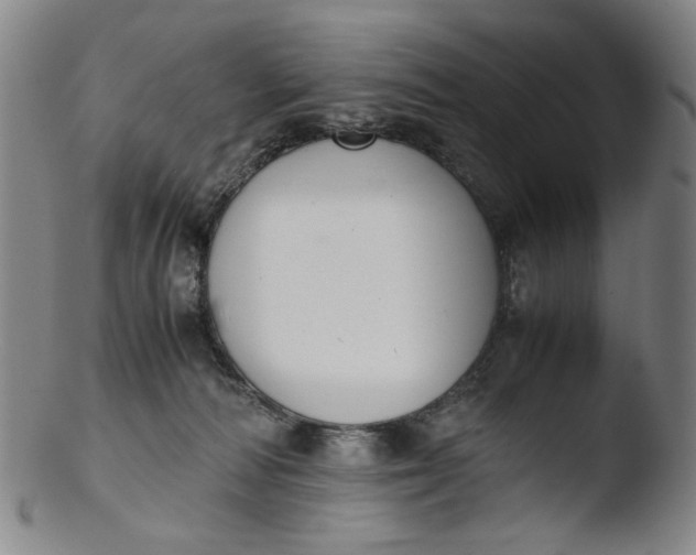 X0000103430226200809261738