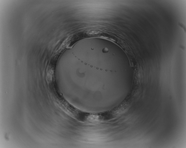 X0000103430227200809261738