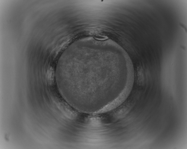 X0000103430228200809261738