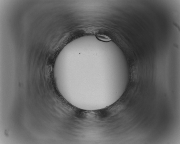 X0000103430229200809261738