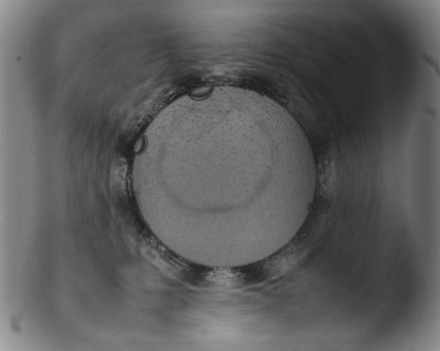 X0000103430231200809261738