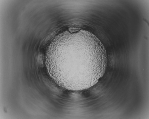 X0000103430232200809261738