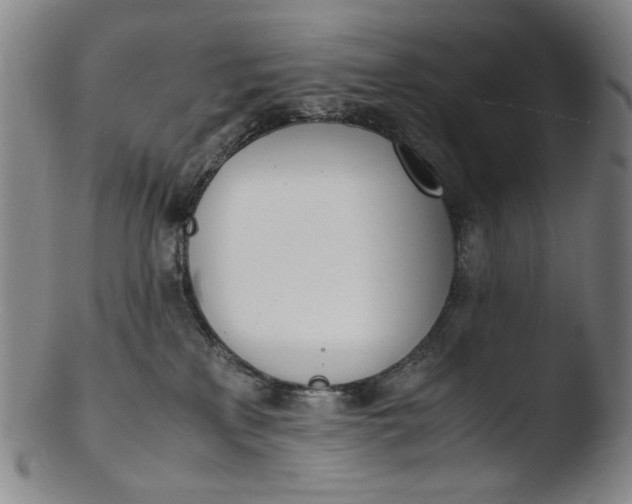 X0000103430233200809261738