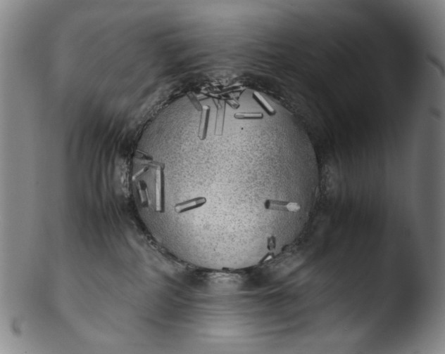 X0000103430234200809261738