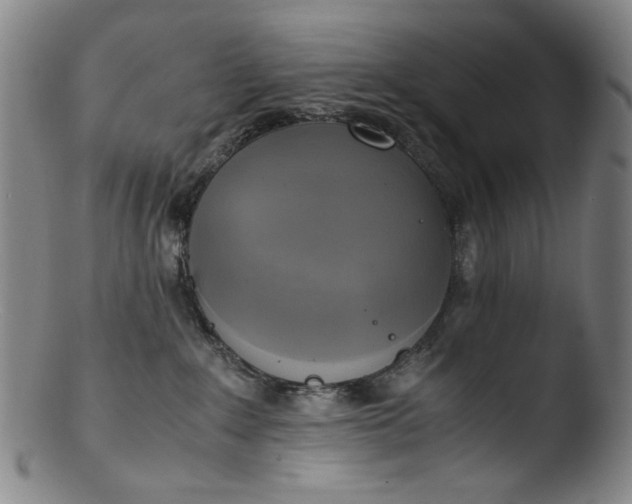 X0000103430235200809261738