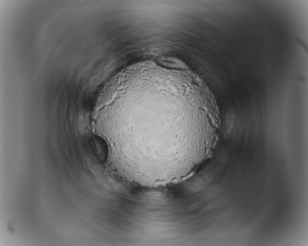 X0000103430236200809261738