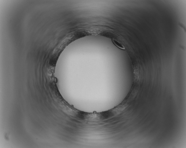 X0000103430237200809261738