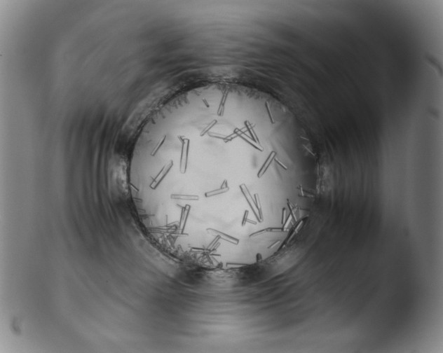 X0000103430238200809261738