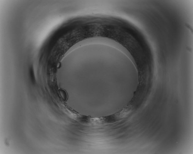 X0000103430239200809261738