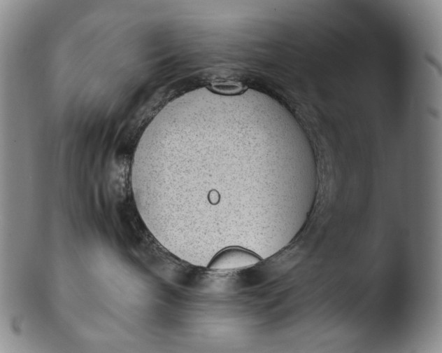 X0000103430240200809261738